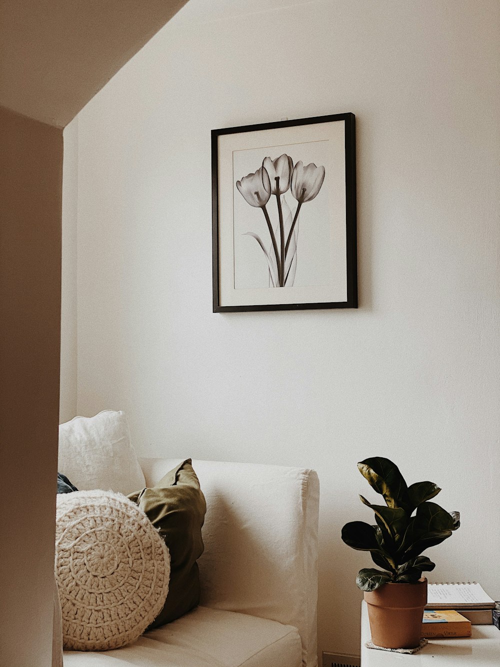 A framed botanical print above a white sofa