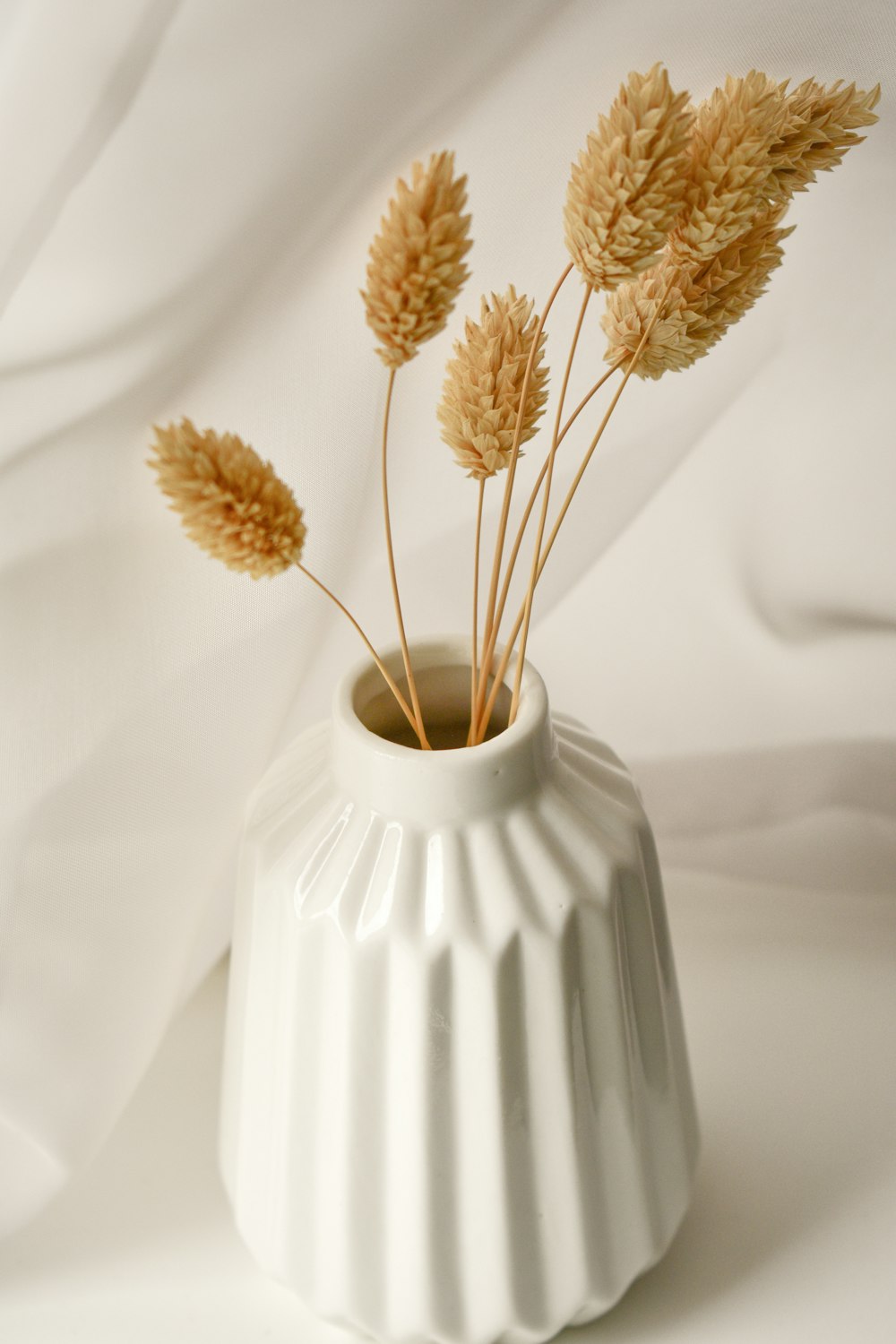 Dried grasses in a white fluted vase
